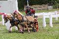 Photo n 36628&#10;Neewiller haras de la Ne&#10;&#10;Affiche 21 fois&#10;Ajoute le 24/04/2016 20:29:10 par JeanClaudeGrognet&#10;&#10;--> Cliquer pour agrandir <--