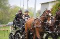 Photo n 36637&#10;Neewiller haras de la Ne&#10;&#10;Affiche 18 fois&#10;Ajoute le 24/04/2016 20:29:10 par JeanClaudeGrognet&#10;&#10;--> Cliquer pour agrandir <--