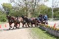 Photo n 36641&#10;Neewiller haras de la Ne&#10;&#10;Affiche 18 fois&#10;Ajoute le 24/04/2016 20:29:10 par JeanClaudeGrognet&#10;&#10;--> Cliquer pour agrandir <--