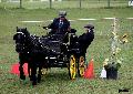 Photo n 36720&#10;Concours de Bas En Basset 2016&#10;Concours de Bas En Basset 2016&#10;Affiche 28 fois&#10;Ajoute le 09/05/2016 16:57:46 par Patfra&#10;&#10;--> Cliquer pour agrandir <--