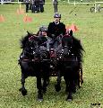 Photo n 36723&#10;Concours de Bas En Basset 2016&#10;Concours de Bas En Basset 2016&#10;Affiche 29 fois&#10;Ajoute le 09/05/2016 16:57:46 par Patfra&#10;&#10;--> Cliquer pour agrandir <--