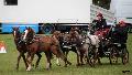Photo n 36724&#10;Concours de Bas En Basset 2016&#10;Concours de Bas En Basset 2016&#10;Affiche 36 fois&#10;Ajoute le 09/05/2016 16:57:46 par Patfra&#10;&#10;--> Cliquer pour agrandir <--