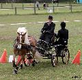 Photo n 36726&#10;Concours de Bas En Basset 2016&#10;&#10;Affiche 20 fois&#10;Ajoute le 09/05/2016 16:57:46 par Patfra&#10;&#10;--> Cliquer pour agrandir <--