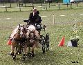 Photo n 36727&#10;Concours de Bas En Basset 2016&#10;&#10;Affiche 20 fois&#10;Ajoute le 09/05/2016 16:57:46 par Patfra&#10;&#10;--> Cliquer pour agrandir <--