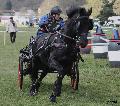 Photo n 36730&#10;Concours de Bas En Basset 2016&#10;&#10;Affiche 25 fois&#10;Ajoute le 09/05/2016 16:57:46 par Patfra&#10;&#10;--> Cliquer pour agrandir <--