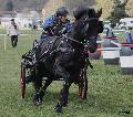 Photo n° 36730
Concours de Bas En Basset 2016

Affichée 25 fois
Ajoutée le 09/05/2016 16:57:46 par Patfra

--> Cliquer pour agrandir <--