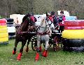 Photo n 36731&#10;Concours de Bas En Basset 2016&#10;&#10;Affiche 25 fois&#10;Ajoute le 09/05/2016 16:57:46 par Patfra&#10;&#10;--> Cliquer pour agrandir <--