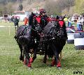 Photo n 36732&#10;Concours de Bas En Basset 2016&#10;&#10;Affiche 17 fois&#10;Ajoute le 09/05/2016 16:57:46 par Patfra&#10;&#10;--> Cliquer pour agrandir <--
