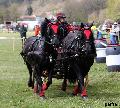 Photo n° 36732
Concours de Bas En Basset 2016

Affichée 17 fois
Ajoutée le 09/05/2016 16:57:46 par Patfra

--> Cliquer pour agrandir <--