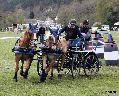 Photo n 36733&#10;Concours de Bas En Basset 2016&#10;&#10;Affiche 15 fois&#10;Ajoute le 09/05/2016 16:57:46 par Patfra&#10;&#10;--> Cliquer pour agrandir <--