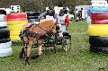 Photo n 36735&#10;Concours de Bas En Basset 2016&#10;&#10;Affiche 19 fois&#10;Ajoute le 09/05/2016 16:57:46 par Patfra&#10;&#10;--> Cliquer pour agrandir <--
