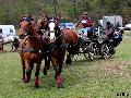 Photo n 36737&#10;Concours de Bas En Basset 2016&#10;&#10;Affiche 21 fois&#10;Ajoute le 09/05/2016 16:57:46 par Patfra&#10;&#10;--> Cliquer pour agrandir <--