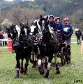 Photo n 36738&#10;Concours de Bas En Basset 2016&#10;&#10;Affiche 38 fois&#10;Ajoute le 09/05/2016 16:57:46 par Patfra&#10;&#10;--> Cliquer pour agrandir <--