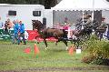 Photo n 37045&#10;SAUMUR 2016&#10;&#10;Affiche 39 fois&#10;Ajoute le 05/06/2016 19:11:53 par JeanClaudeGrognet&#10;&#10;--> Cliquer pour agrandir <--