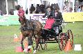 Photo n 37053&#10;SAUMUR 2016&#10;&#10;Affiche 27 fois&#10;Ajoute le 05/06/2016 19:11:53 par JeanClaudeGrognet&#10;&#10;--> Cliquer pour agrandir <--