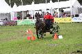 Photo n 37054&#10;SAUMUR 2016&#10;&#10;Affiche 26 fois&#10;Ajoute le 05/06/2016 19:11:53 par JeanClaudeGrognet&#10;&#10;--> Cliquer pour agrandir <--