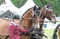 Photo n 37080&#10;CAIO SAUMUR 2016 Remise des prix - photo JP Giraud&#10;&#10;Affiche 25 fois&#10;Ajoute le 08/06/2016 07:16:51 par JeanClaudeGrognet&#10;&#10;--> Cliquer pour agrandir <--