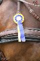 Photo n 37088&#10;CAIO SAUMUR 2016 Remise des prix - photo JP Giraud&#10;&#10;Affiche 14 fois&#10;Ajoute le 08/06/2016 07:16:51 par JeanClaudeGrognet&#10;&#10;--> Cliquer pour agrandir <--