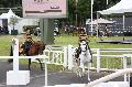 Photo n 37100&#10;Portes ouvertes hippodrome Chantilly&#10;Le Muse Vivant du Cheval&#10;Affiche 23 fois&#10;Ajoute le 12/06/2016 07:56:30 par JeanClaudeGrognet&#10;&#10;--> Cliquer pour agrandir <--