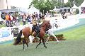 Photo n 37101&#10;Portes ouvertes hippodrome Chantilly&#10;Le Muse Vivant du Cheval&#10;Affiche 17 fois&#10;Ajoute le 12/06/2016 07:56:30 par JeanClaudeGrognet&#10;&#10;--> Cliquer pour agrandir <--