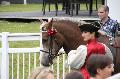 Photo n 37103&#10;Portes ouvertes hippodrome Chantilly&#10;Le Muse Vivant du Cheval Sophie Bienaim&#10;Affiche 26 fois&#10;Ajoute le 12/06/2016 07:56:30 par JeanClaudeGrognet&#10;&#10;--> Cliquer pour agrandir <--