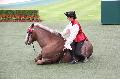 Photo n 37111&#10;Portes ouvertes hippodrome Chantilly&#10;Le Muse Vivant du Cheval Sophie Bienaim&#10;Affiche 13 fois&#10;Ajoute le 12/06/2016 07:56:30 par JeanClaudeGrognet&#10;&#10;--> Cliquer pour agrandir <--