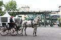 Photo n 37119&#10;Portes ouvertes hippodrome Chantilly&#10;&#10;Affiche 28 fois&#10;Ajoute le 12/06/2016 07:56:30 par JeanClaudeGrognet&#10;&#10;--> Cliquer pour agrandir <--
