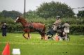 Photo n 37123&#10;Haras national Pin. 12.06.16 Photo Chevalandrieu&#10;Sabine MIOSSEC de LARRARD avec CHAPKA DE BEL VERNE&#10;Affiche 45 fois&#10;Ajoute le 14/06/2016 16:03:08 par Nadinetoudic&#10;&#10;--> Cliquer pour agrandir <--