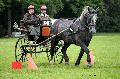 Photo n 37128&#10;Haras national Pin. 12.06.16 Photo Chevalandrieu&#10;Etienne CHATEL. DOUCETTE DU SAP&#10;Affiche 33 fois&#10;Ajoute le 15/06/2016 13:37:11 par Nadinetoudic&#10;&#10;--> Cliquer pour agrandir <--