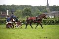 Photo n 37129&#10;Haras national Pin. 12.06.16 Photo Chevalandrieu&#10;Isabelle KUNTZ. CARTOONS DU DESERTS&#10;Affiche 24 fois&#10;Ajoute le 15/06/2016 13:37:11 par Nadinetoudic&#10;&#10;--> Cliquer pour agrandir <--