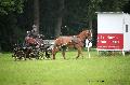 Photo n 37131&#10;Haras national Pin. 12.06.16 Photo Chevalandrieu&#10;Pauline PAFFRATH. BAGUERA GUERINIERE&#10;Affiche 22 fois&#10;Ajoute le 15/06/2016 13:37:11 par Nadinetoudic&#10;&#10;--> Cliquer pour agrandir <--