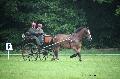 Photo n 37132&#10;Haras national Pin. 12.06.16 Photo Chevalandrieu&#10;Etienne CHATEL. COOPER DE L'ETANG&#10;Affiche 21 fois&#10;Ajoute le 15/06/2016 13:37:11 par Nadinetoudic&#10;&#10;--> Cliquer pour agrandir <--