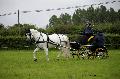 Photo n 37134&#10;Haras national Pin. 12.06.16 Photo Chevalandrieu&#10;Sandra MARLIN. &#10;Affiche 18 fois&#10;Ajoute le 15/06/2016 13:37:11 par Nadinetoudic&#10;&#10;--> Cliquer pour agrandir <--