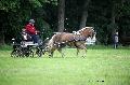 Photo n 37135&#10;Haras national Pin. 12.06.16 Photo Chevalandrieu&#10;Joseph TIJOU&#10;Affiche 22 fois&#10;Ajoute le 15/06/2016 13:37:11 par Nadinetoudic&#10;&#10;--> Cliquer pour agrandir <--