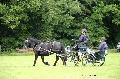 Photo n 37136&#10;Haras national Pin. 12.06.16 Photo Chevalandrieu&#10;Jacky LEPINE&#10;Affiche 13 fois&#10;Ajoute le 15/06/2016 13:37:11 par Nadinetoudic&#10;&#10;--> Cliquer pour agrandir <--