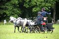 Photo n 37137&#10;Haras national Pin. 12.06.16 Photo Chevalandrieu&#10;Pnlope BROOKE&#10;Affiche 21 fois&#10;Ajoute le 15/06/2016 13:37:11 par Nadinetoudic&#10;&#10;--> Cliquer pour agrandir <--