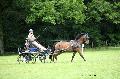 Photo n 37141&#10;Haras national Pin. 12.06.16 Photo Chevalandrieu&#10;Marc MENET. PRINCE JUNIOR&#10;Affiche 27 fois&#10;Ajoute le 15/06/2016 13:43:13 par Nadinetoudic&#10;&#10;--> Cliquer pour agrandir <--
