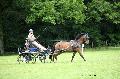 Photo n° 37141
Haras national Pin. 12.06.16 Photo Chevalandrieu
Marc MENET. PRINCE JUNIOR
Affichée 25 fois
Ajoutée le 15/06/2016 13:43:13 par Nadinetoudic

--> Cliquer pour agrandir <--