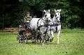 Photo n 37143&#10;Haras national Pin. 12.06.16 Photo Chevalandrieu&#10;Patrick MAUDET&#10;Affiche 26 fois&#10;Ajoute le 16/06/2016 13:19:21 par Nadinetoudic&#10;&#10;--> Cliquer pour agrandir <--