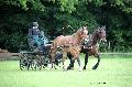 Photo n 37144&#10;Haras national Pin. 12.06.16 Photo Chevalandrieu&#10;Grard BILLEBAULT. &#10;Affiche 38 fois&#10;Ajoute le 16/06/2016 13:19:21 par Nadinetoudic&#10;&#10;--> Cliquer pour agrandir <--