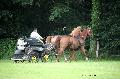 Photo n 37145&#10;Haras national Pin. 12.06.16 Photo Chevalandrieu&#10;Pierre MONNIER. DZIWISZ, PIRS.&#10;Affiche 26 fois&#10;Ajoute le 16/06/2016 13:19:21 par Nadinetoudic&#10;&#10;--> Cliquer pour agrandir <--