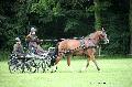 Photo n 37149&#10;Haras national Pin. 12.06.16 Photo Chevalandrieu&#10;Agns BRETEAU. LADINA&#10;Affiche 58 fois&#10;Ajoute le 16/06/2016 13:19:21 par Nadinetoudic&#10;&#10;--> Cliquer pour agrandir <--