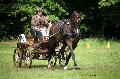 Photo n 37150&#10;Haras national Pin. 12.06.16 Photo Chevalandrieu&#10;Francis LE NOUAILLE. REYBUS DE GOGLIN&#10;Affiche 30 fois&#10;Ajoute le 16/06/2016 13:19:21 par Nadinetoudic&#10;&#10;--> Cliquer pour agrandir <--