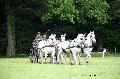 Photo n 37151&#10;Haras national Pin. 12.06.16 Photo Chevalandrieu&#10;Patrick MAUDET&#10;Affiche 37 fois&#10;Ajoute le 16/06/2016 13:19:21 par Nadinetoudic&#10;&#10;--> Cliquer pour agrandir <--