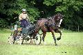 Photo n 37152&#10;Haras national Pin. 12.06.16 Photo Chevalandrieu&#10;Sabine MIOSSEC DE LARRARD. EX LEX&#10;Affiche 42 fois&#10;Ajoute le 16/06/2016 13:19:21 par Nadinetoudic&#10;&#10;--> Cliquer pour agrandir <--