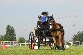 Photo n 37166&#10;Meslay du Maine-maine-attelage-competition53.ffe&#10;&#10;Affiche 32 fois&#10;Ajoute le 20/06/2016 08:21:15 par JeanClaudeGrognet&#10;&#10;--> Cliquer pour agrandir <--