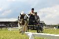Photo n 37172&#10;Meslay du Maine-maine-attelage-competition53.ffe&#10;&#10;Affiche 22 fois&#10;Ajoute le 20/06/2016 08:21:15 par JeanClaudeGrognet&#10;&#10;--> Cliquer pour agrandir <--