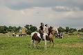 Photo n 37174&#10;Meslay du Maine-maine-attelage-competition53.ffe&#10;&#10;Affiche 10 fois&#10;Ajoute le 20/06/2016 08:21:15 par JeanClaudeGrognet&#10;&#10;--> Cliquer pour agrandir <--