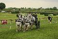 Photo n 37176&#10;Meslay du Maine-maine-attelage-competition53.ffe&#10;&#10;Affiche 14 fois&#10;Ajoute le 20/06/2016 08:21:15 par JeanClaudeGrognet&#10;&#10;--> Cliquer pour agrandir <--