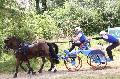Photo n 37244&#10;Chablis 2016&#10;&#10;Affiche 21 fois&#10;Ajoute le 02/07/2016 22:37:23 par JeanClaudeGrognet&#10;&#10;--> Cliquer pour agrandir <--